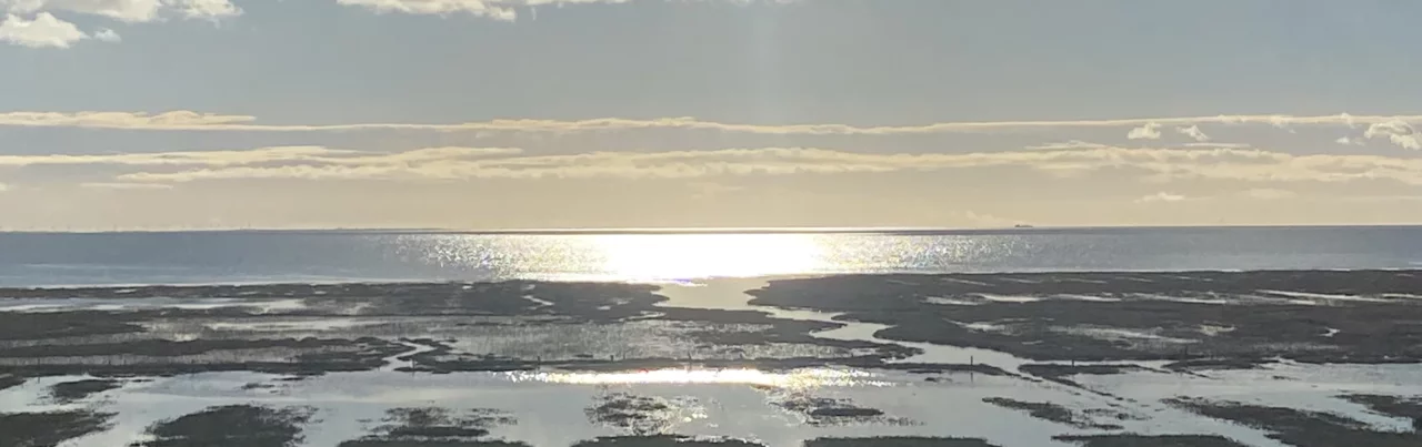 Ein Bild vom Wattenmeer mit Prilen